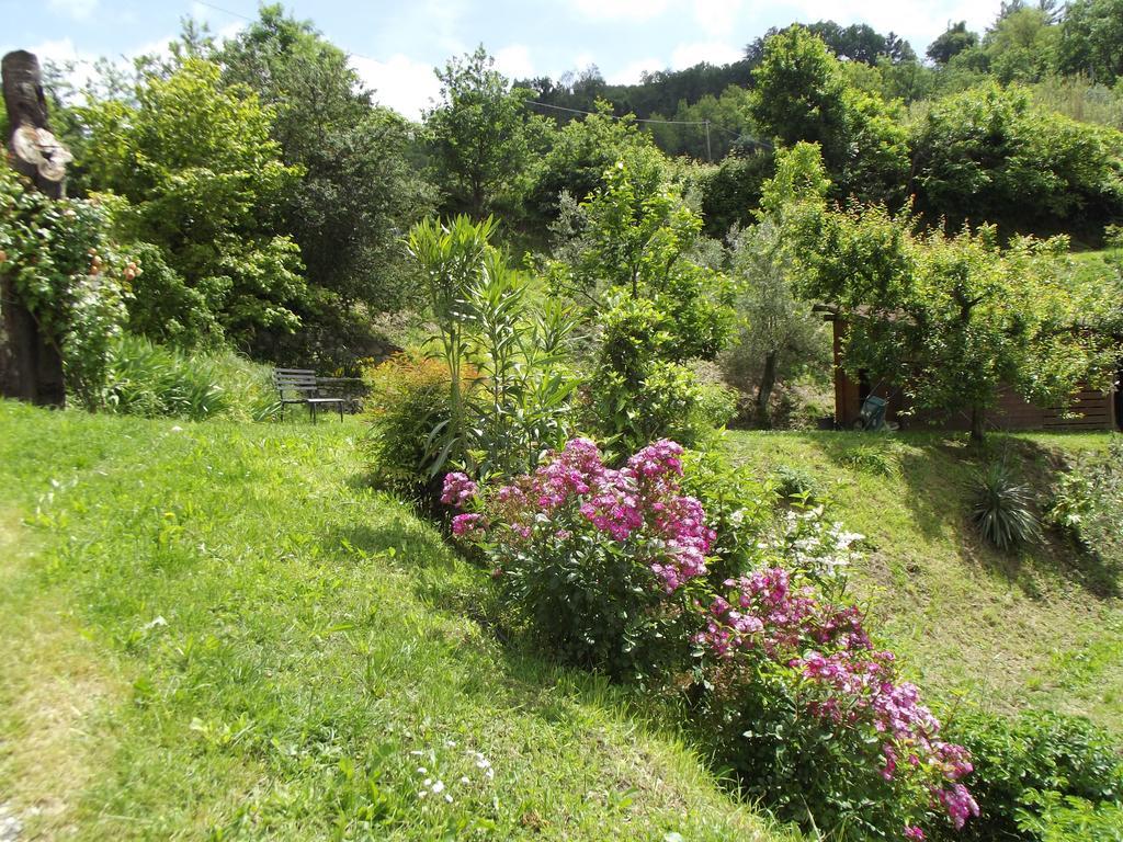 Agriturismo Brasino Fosdinovo Pokoj fotografie